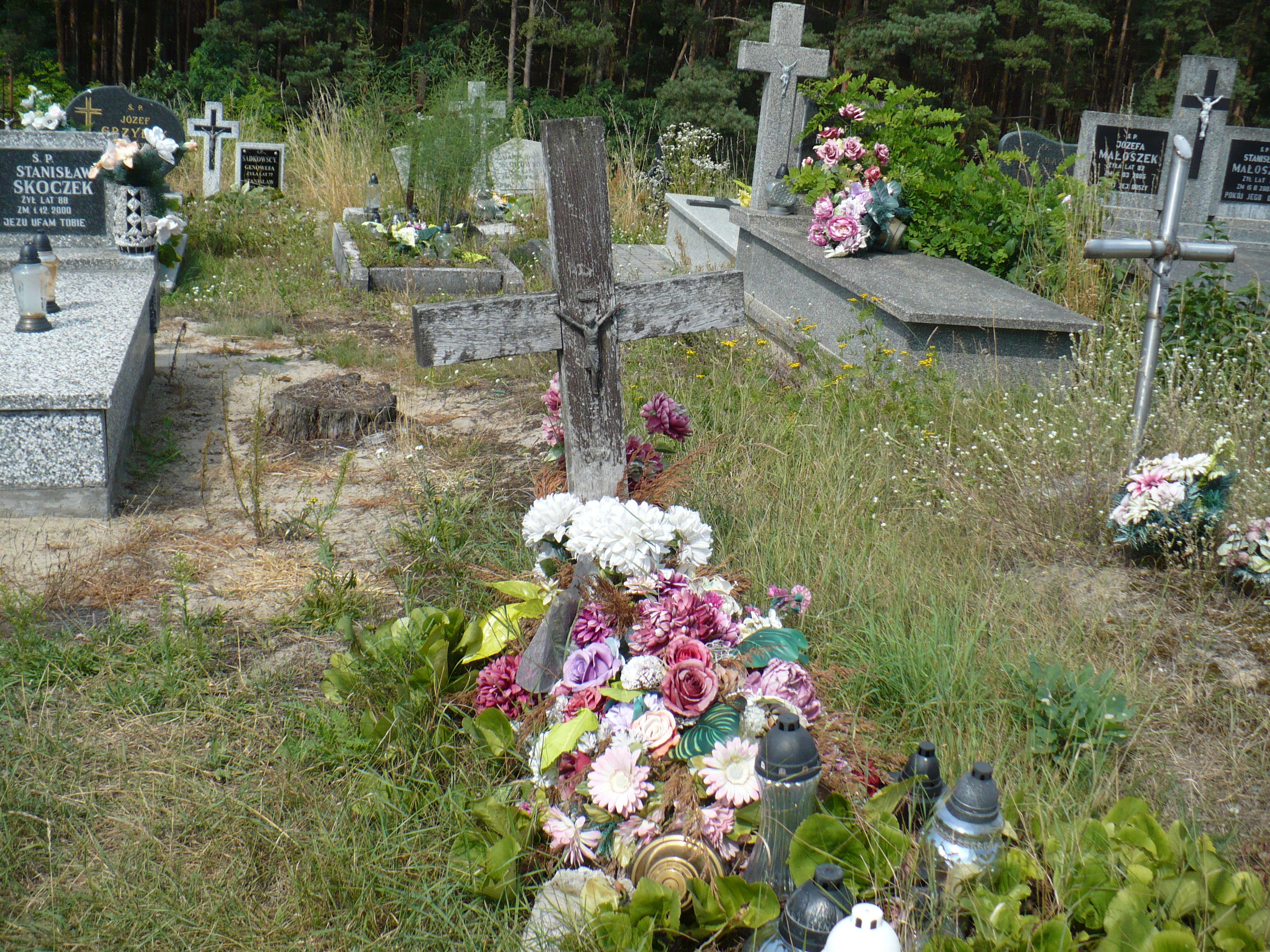  NN Kurzelów - Grobonet - Wyszukiwarka osób pochowanych