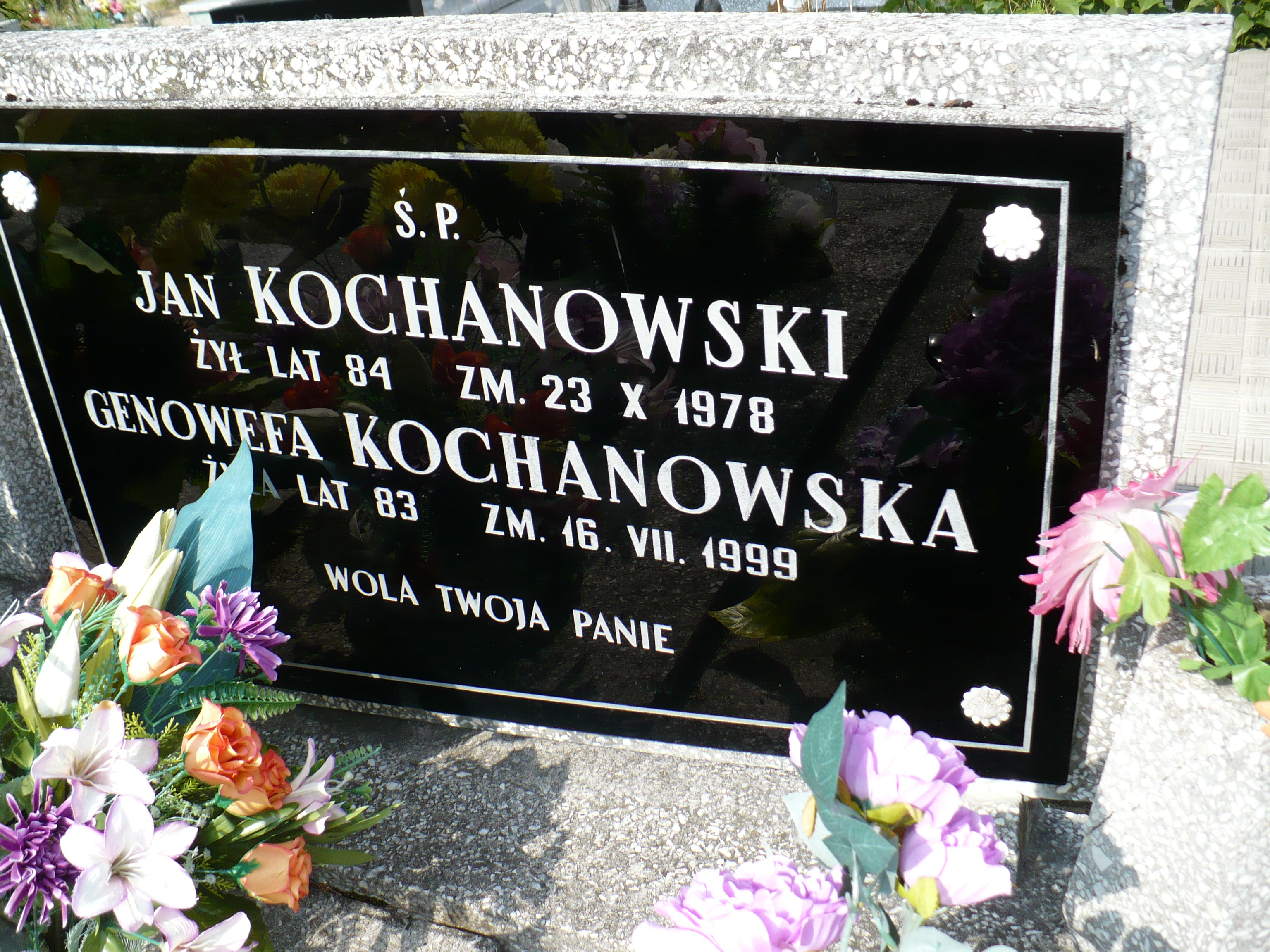 Jan Kochanowski 1894 Kurzelów - Grobonet - Wyszukiwarka osób pochowanych