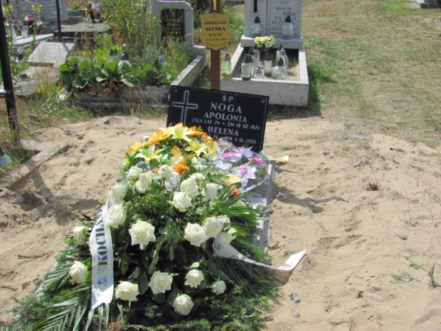 Grób Helena Noga