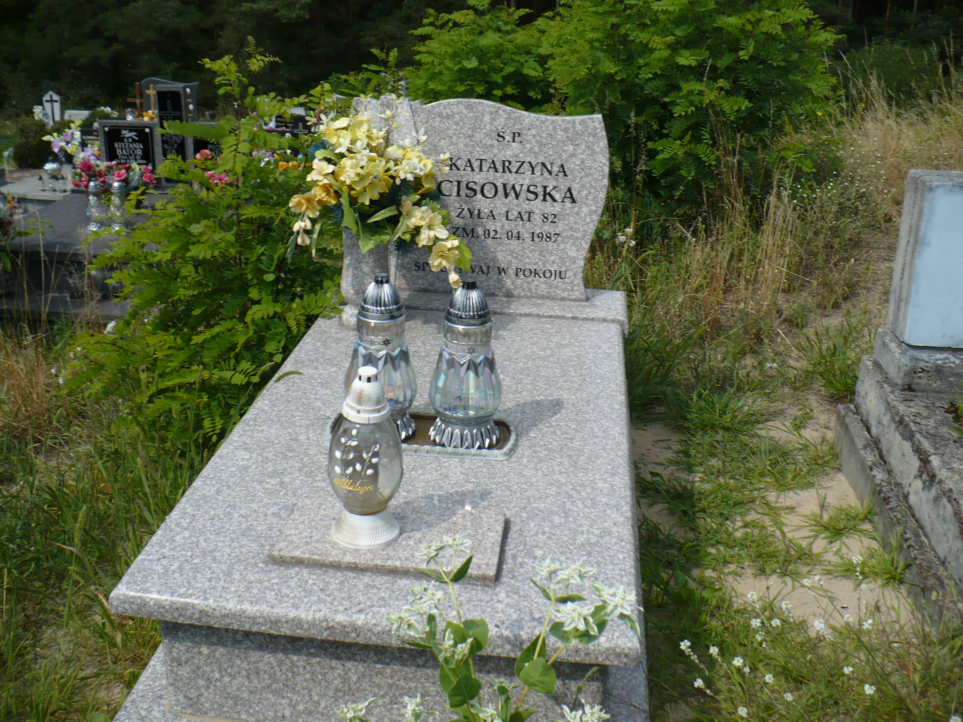 Grób Katyarzyna Cisowska