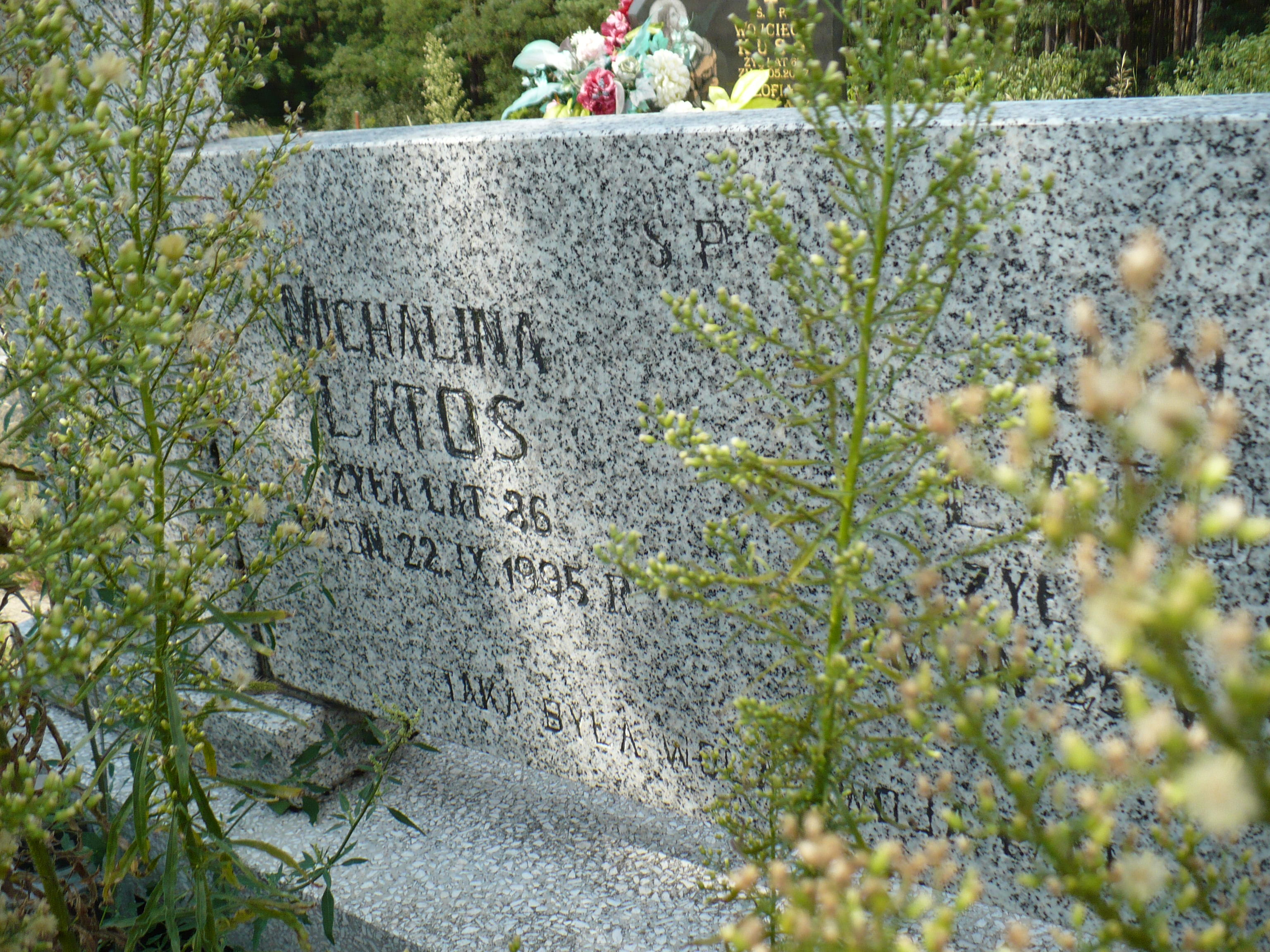 Zdjęcie grobu